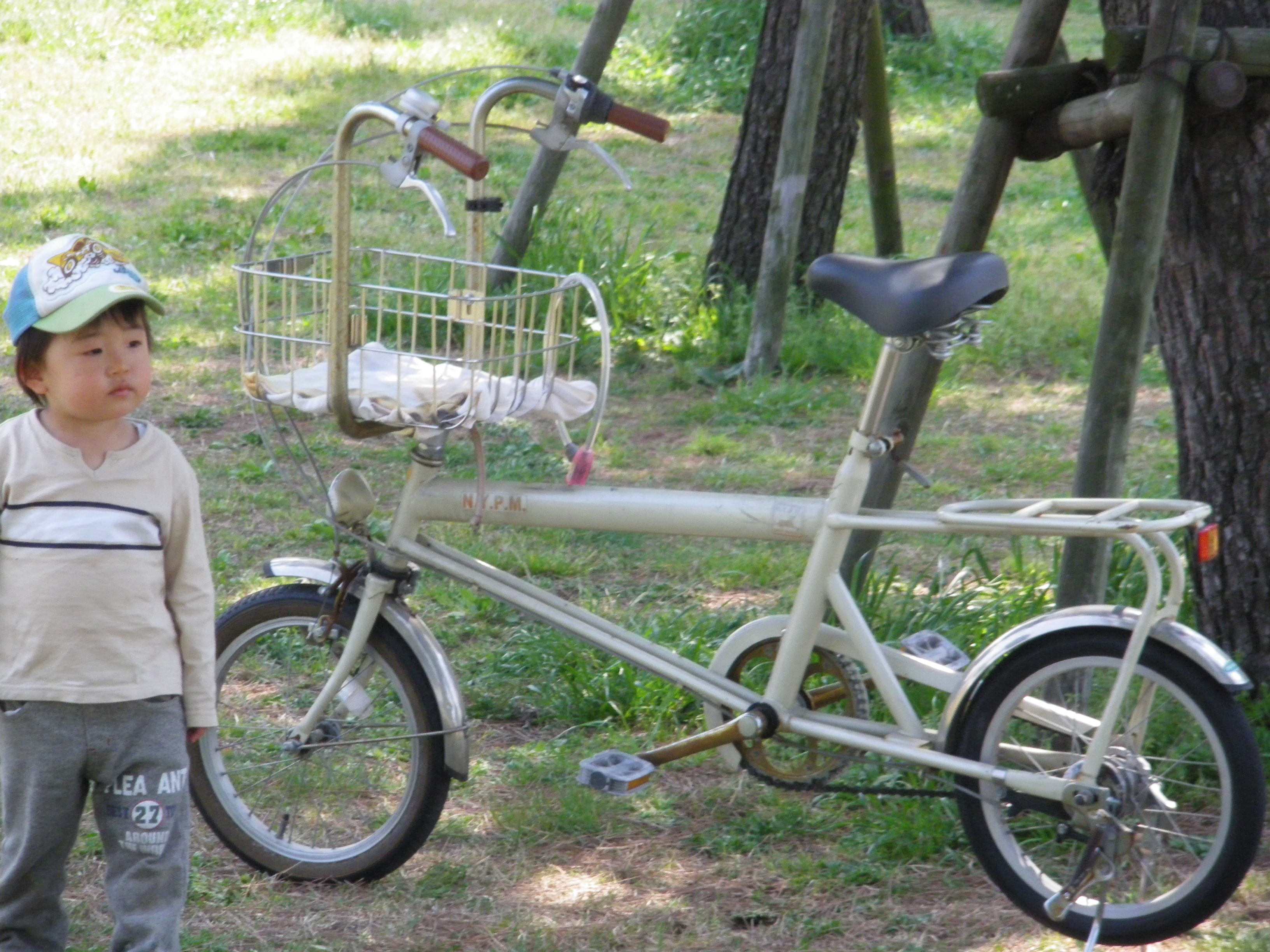 愛犬カゴ付き自転車 よこあるき 横浜発 折りたたみ自転車街歩き