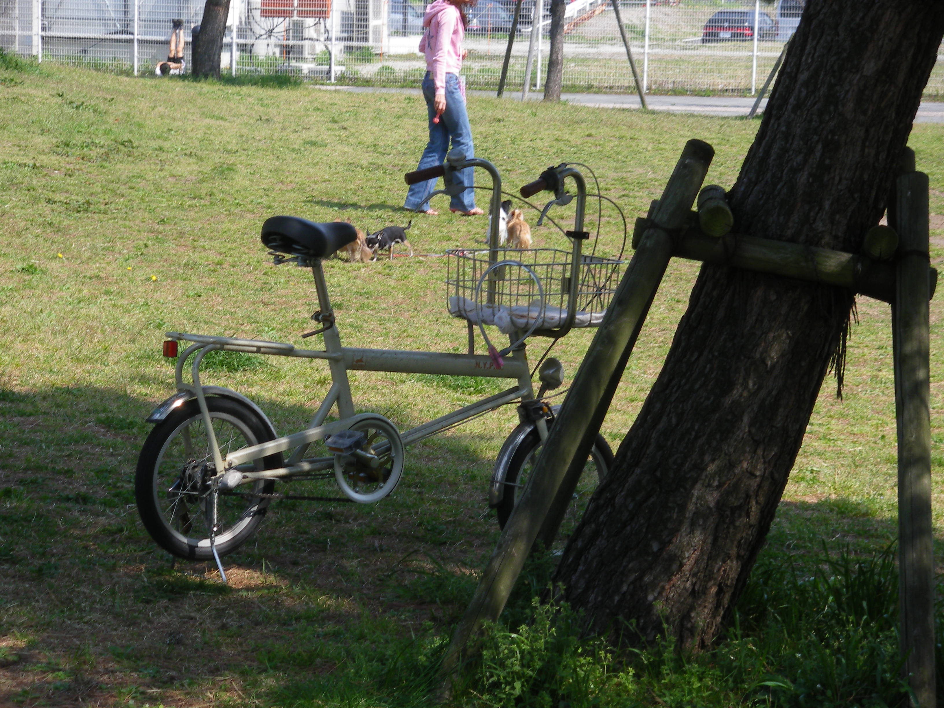 愛犬カゴ付き自転車: よこあるき［横浜発 折りたたみ自転車街歩き］